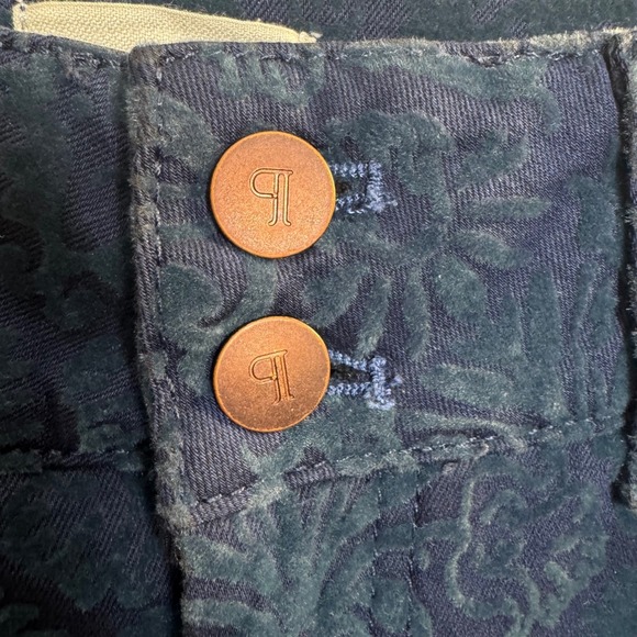PILCRO Anthropologie Pants 27 NWT Wide Leg Cropped Velvet Burnout Blue High Rise - Picture 2 of 10